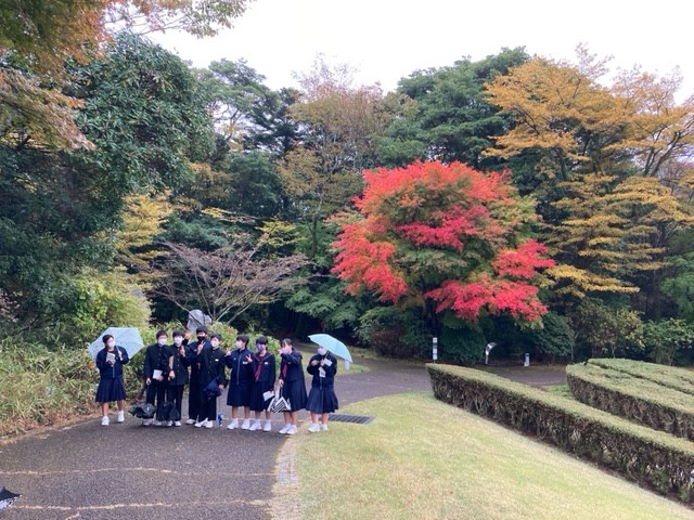 霧島アートの森