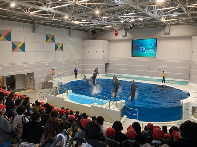 いおワールド　イルカショー