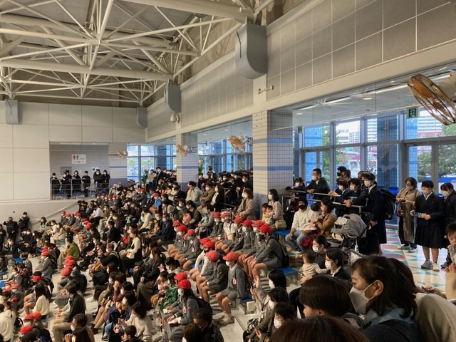 いおワールド　イルカショー