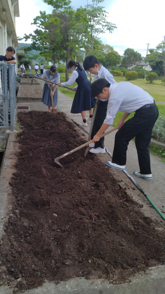 Dsc_0003_burst20250530132907824