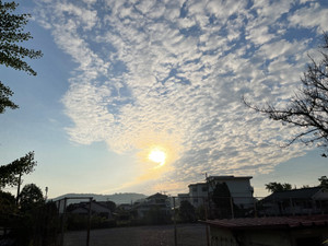 Img_1244