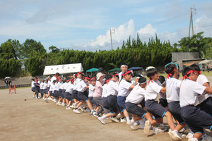 Photo_4